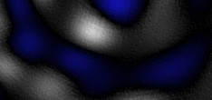 b virus