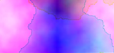 virus and