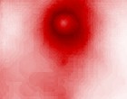 virus bei